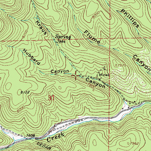 Topographic Map of Hubbard Canyon, NM