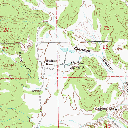 Topographic Map of Hudson Spring, NM