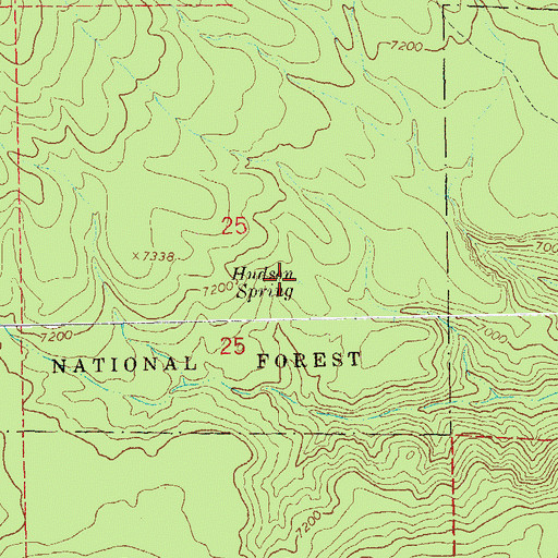 Topographic Map of Hudson Spring, NM