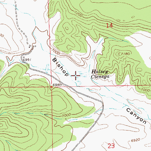 Topographic Map of Hulsey Cienega, NM
