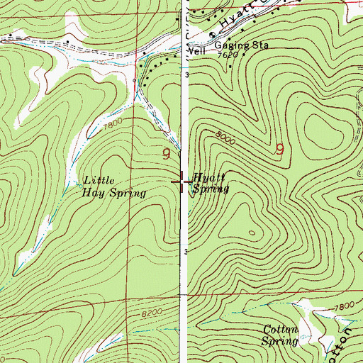 Topographic Map of Hyatt Spring, NM