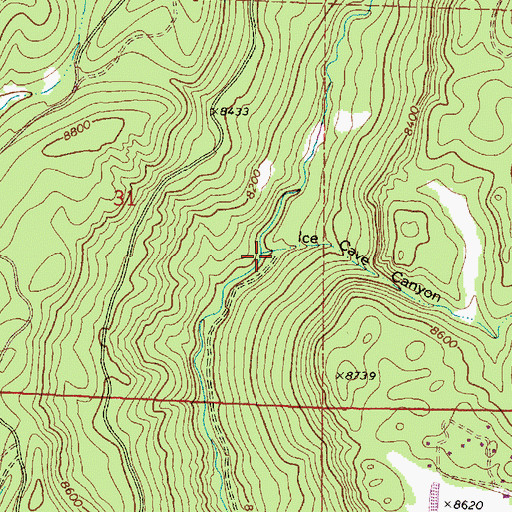 Topographic Map of Ice Cave Canyon, NM
