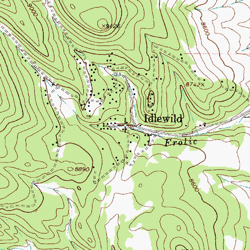 Topographic Map of Idlewild, NM