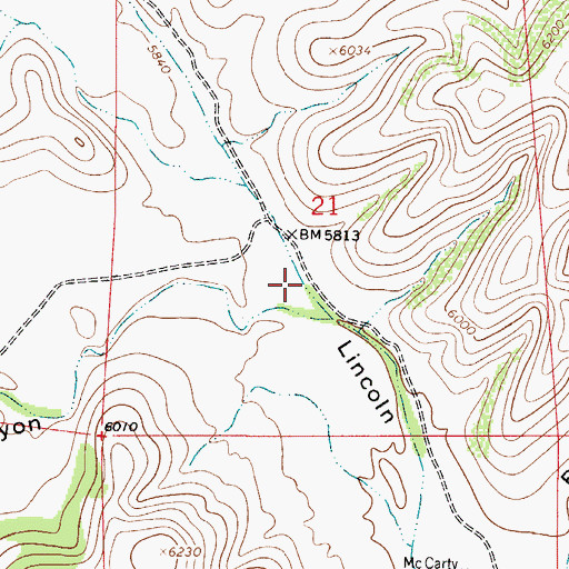 Topographic Map of Indian Canyon, NM