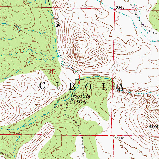 Topographic Map of Indian Creek, NM