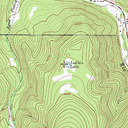 Topographic Map of Indian Lake, NM