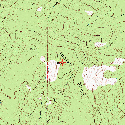 Topographic Map of Indian Mesa, NM