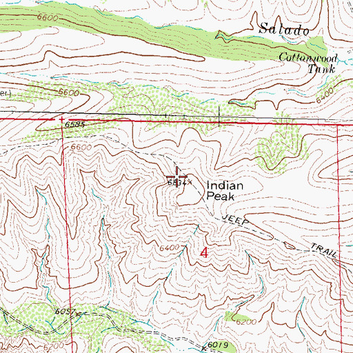 Topographic Map of Indian Peak, NM