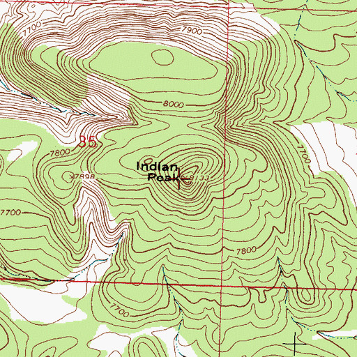 Topographic Map of Indian Peak, NM