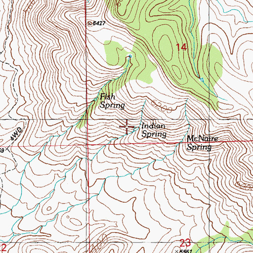Topographic Map of Indian Spring, NM