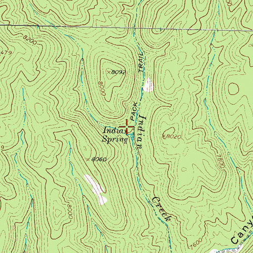 Topographic Map of Indian Spring, NM