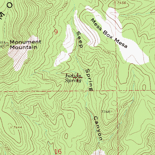 Topographic Map of Indian Spring, NM