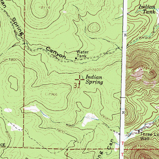 Topographic Map of Indian Spring, NM