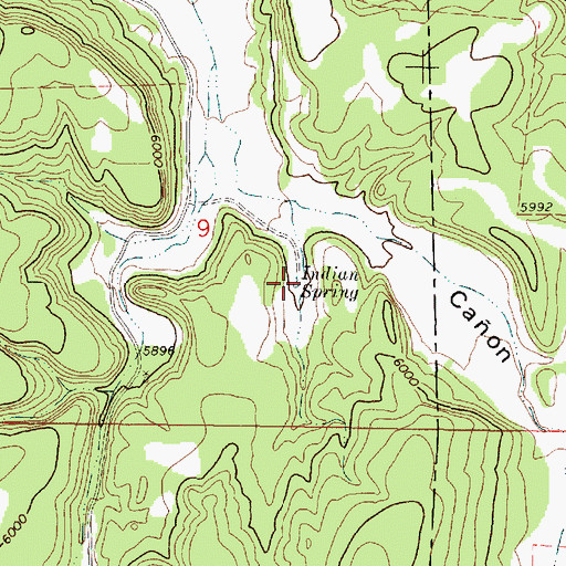 Topographic Map of Indian Spring, NM