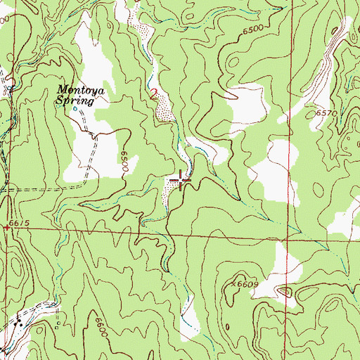 Topographic Map of Indian Spring Canyon, NM