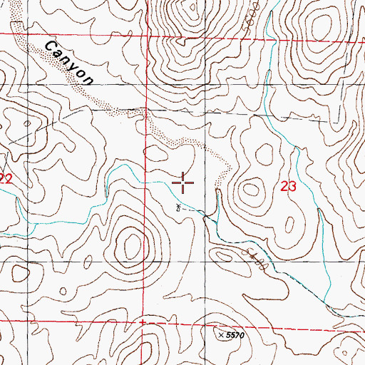 Topographic Map of Indian Springs Canyon, NM