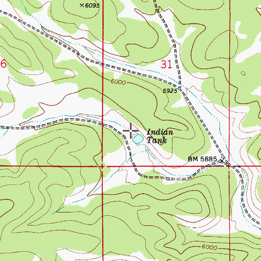 Topographic Map of Indian Tank, NM