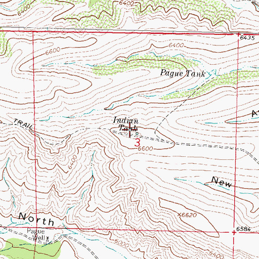 Topographic Map of Indian Tank, NM