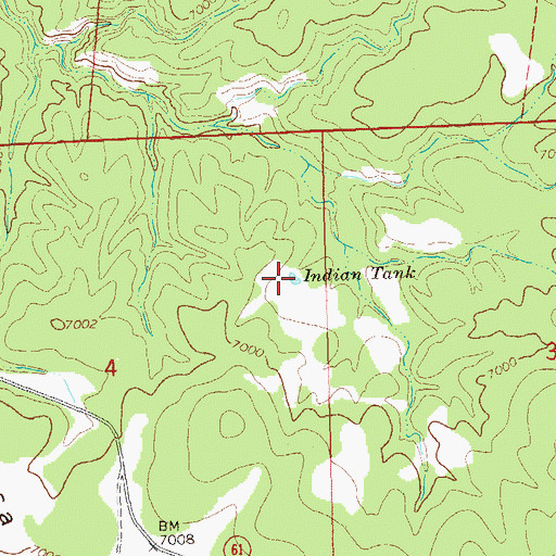 Topographic Map of Indian Tank, NM