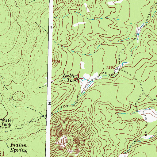 Topographic Map of Indian Tank, NM