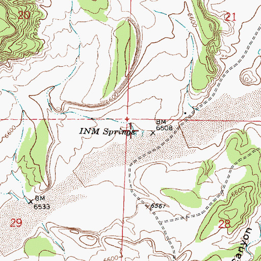 Topographic Map of INM Springs, NM