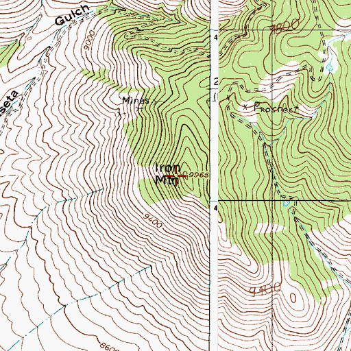 Topographic Map of Iron Mountain, NM