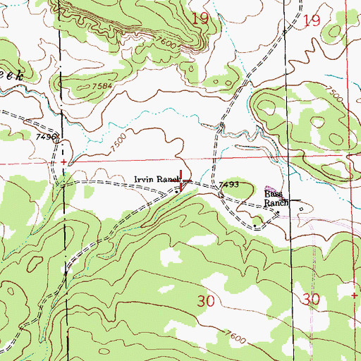 Topographic Map of Irvin Ranch, NM