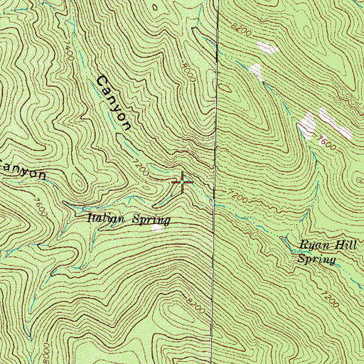 Topographic Map of Italian Canyon, NM