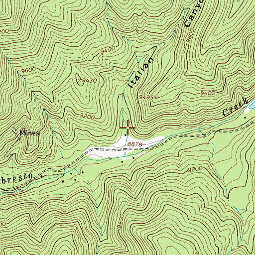 Topographic Map of Italian Canyon, NM