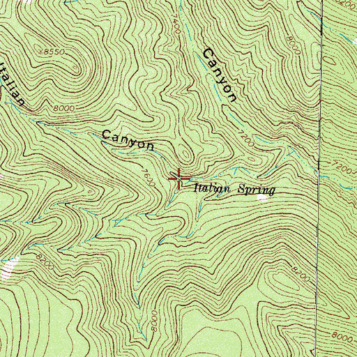 Topographic Map of Italian Spring, NM
