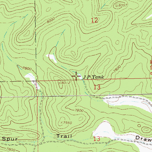 Topographic Map of J P Tank, NM