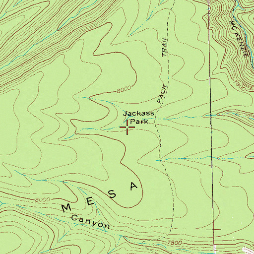 Topographic Map of Jackass Park, NM