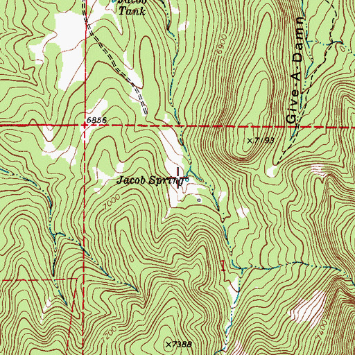 Topographic Map of Jacob Spring, NM