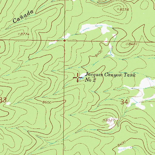 Topographic Map of Jacques Canyon Tank Number 2, NM