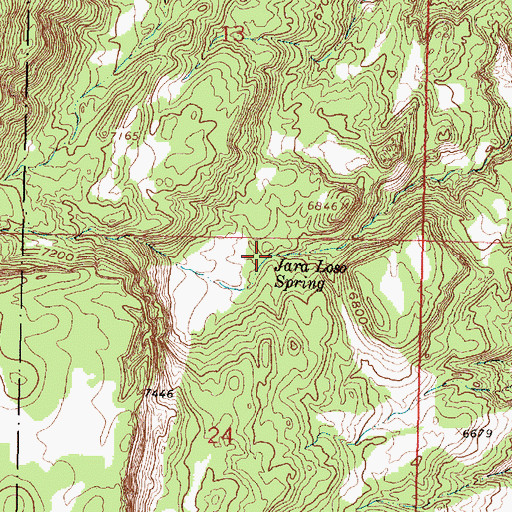 Topographic Map of Jara Loso Spring, NM