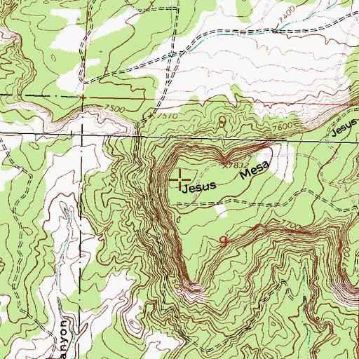Topographic Map of Jesus Mesa, NM