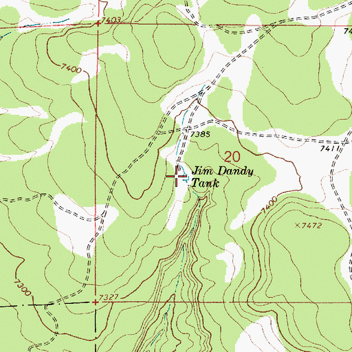 Topographic Map of Jim Dandy Tank, NM
