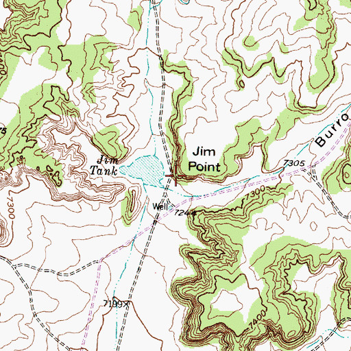 Topographic Map of Jim Point, NM