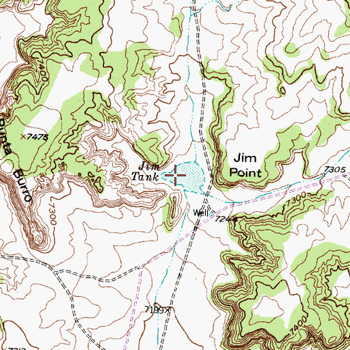 Topographic Map of Jim Tank, NM