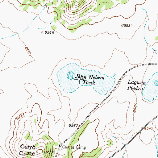 Topographic Map of John Nelson Tank, NM
