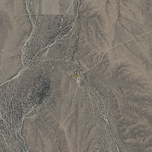 Aerial/Satellite Image of P Ranch, AZ