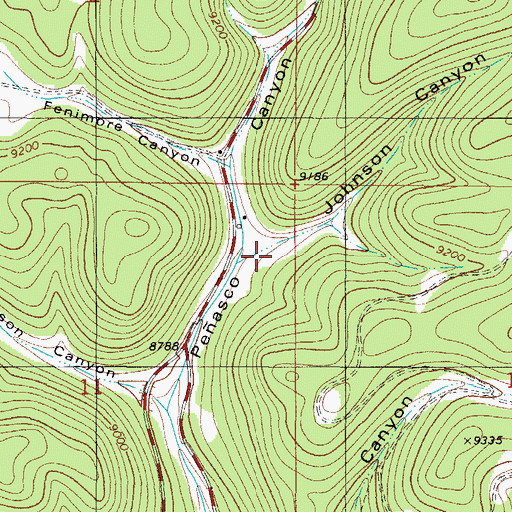 Topographic Map of Johnson Canyon, NM