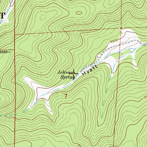 Topographic Map of Johnson Spring, NM