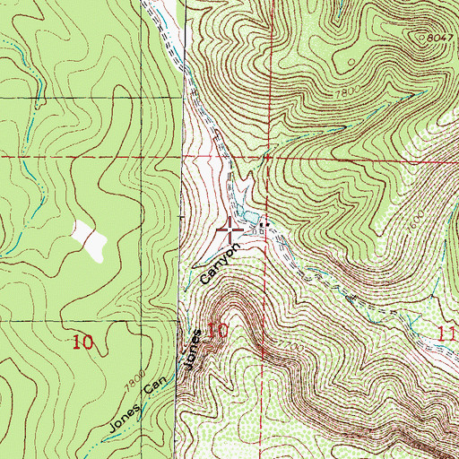 Topographic Map of Jones Canyon, NM