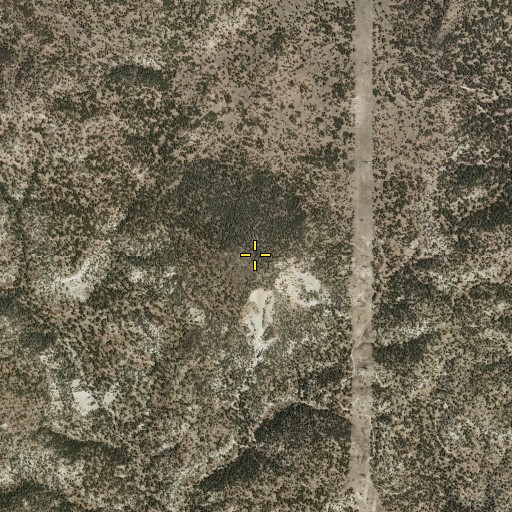 Aerial/Satellite Image of Jones Peak, NM