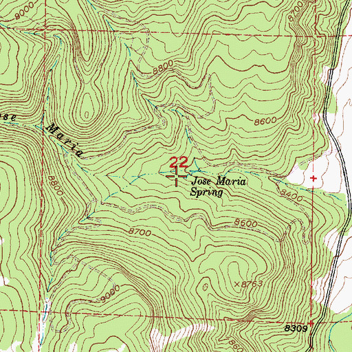 Topographic Map of Jose Maria Spring, NM