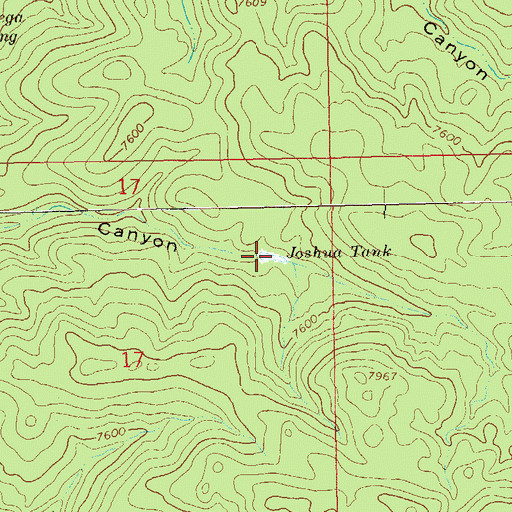 Topographic Map of Joshua Tank, NM
