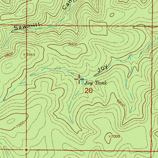 Topographic Map of Joy Tank, NM