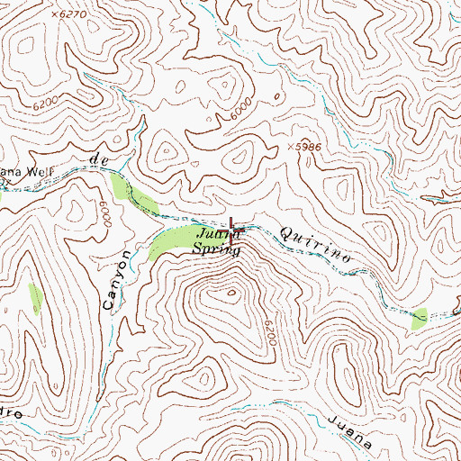 Topographic Map of Juana Spring, NM