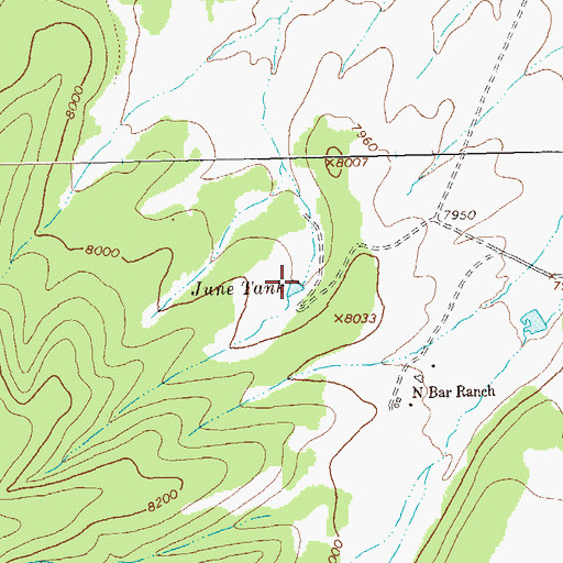Topographic Map of June Tank, NM